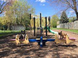 Homedale Park – Bild 4