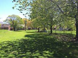 Homedale Park – Bild 5