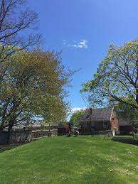 Homedale Park – Bild 6