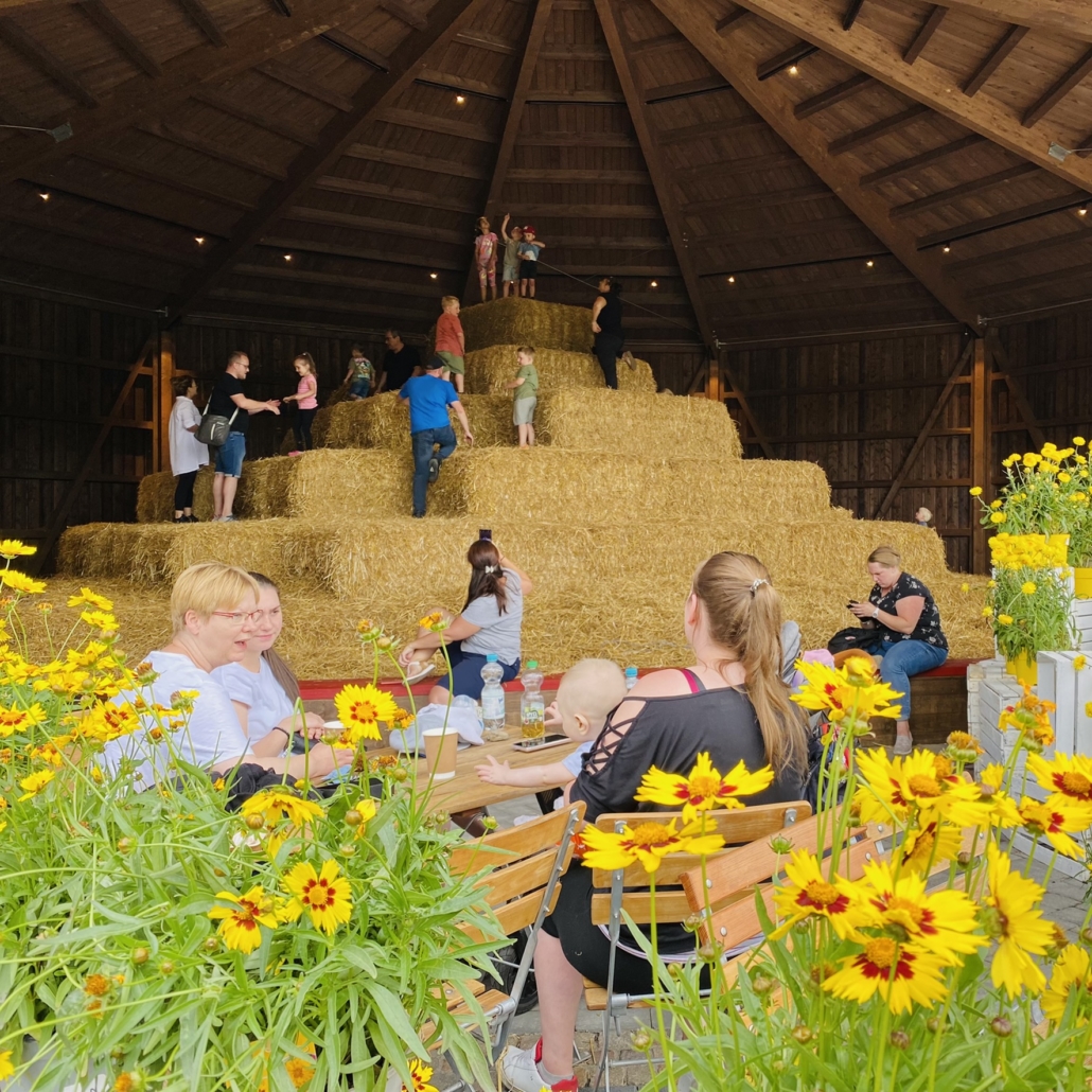 Erlebnisbauernhof Gertrudenhof – Bild 3