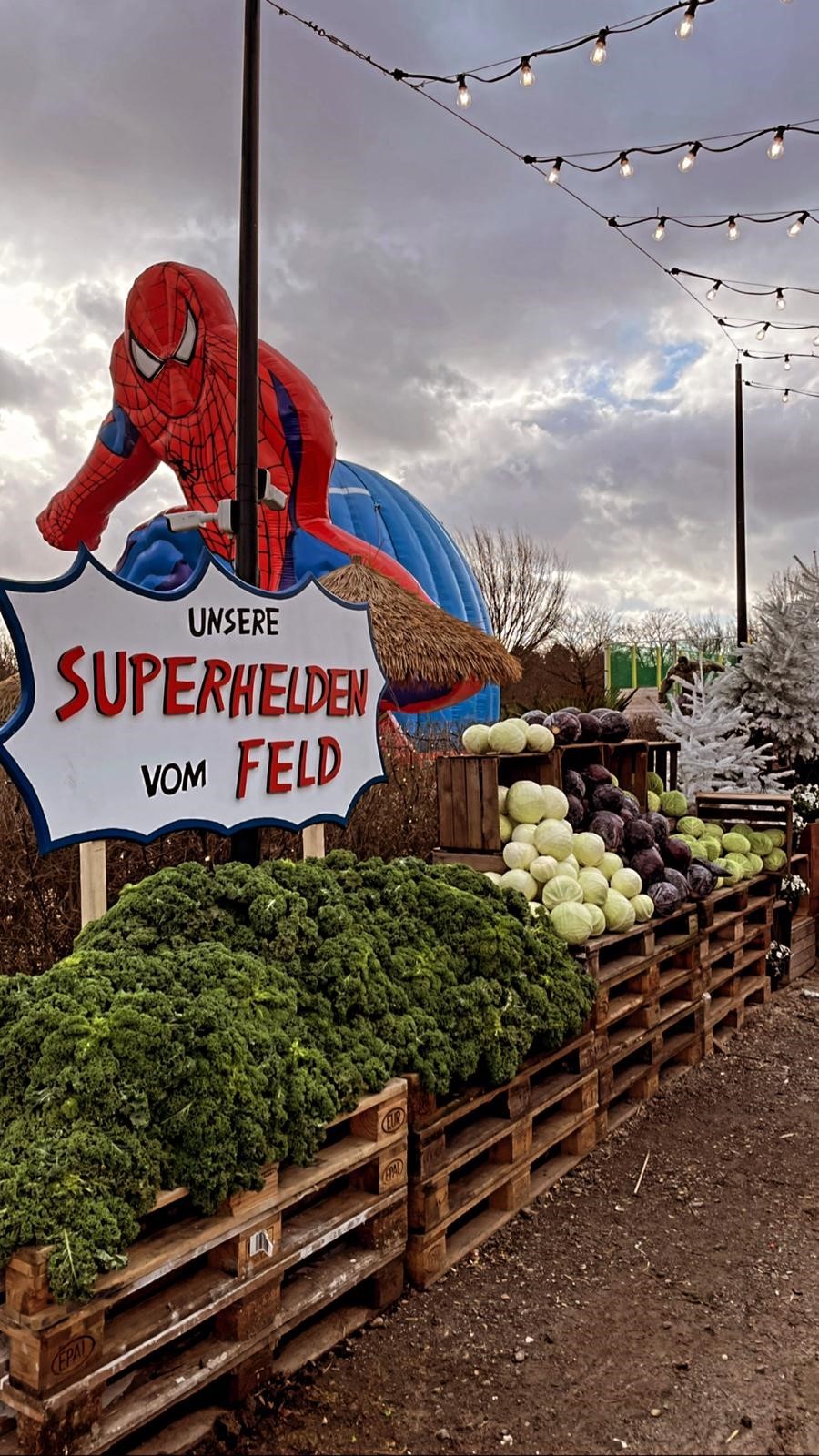 Erlebnisbauernhof Gertrudenhof – Bild 4