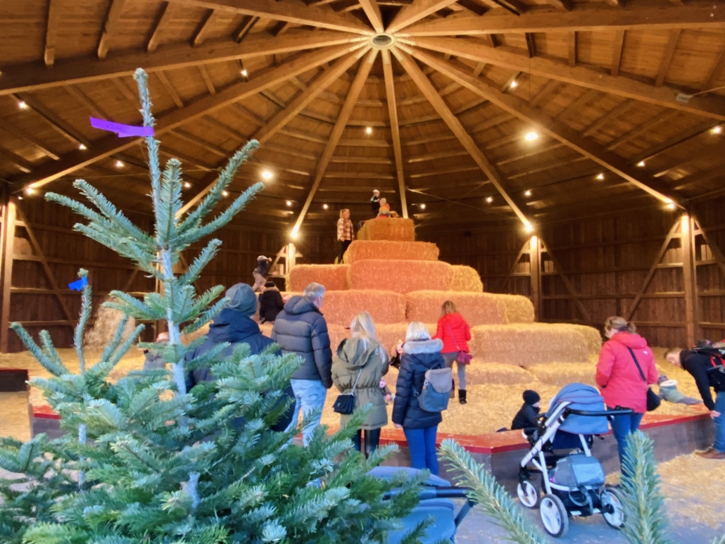 Erlebnisbauernhof Gertrudenhof – Bild 5