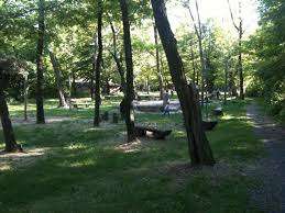 Parco Robinson – Bild 3