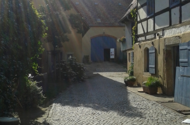 Ponyhof und Ferienwohnungen Nicolaus – Bild 3