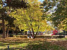 Jardin publique et place de jeux des Aubépines – Bild 4