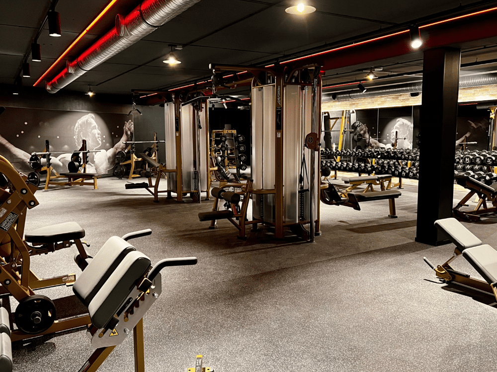 Clever Bronx – Bild 2