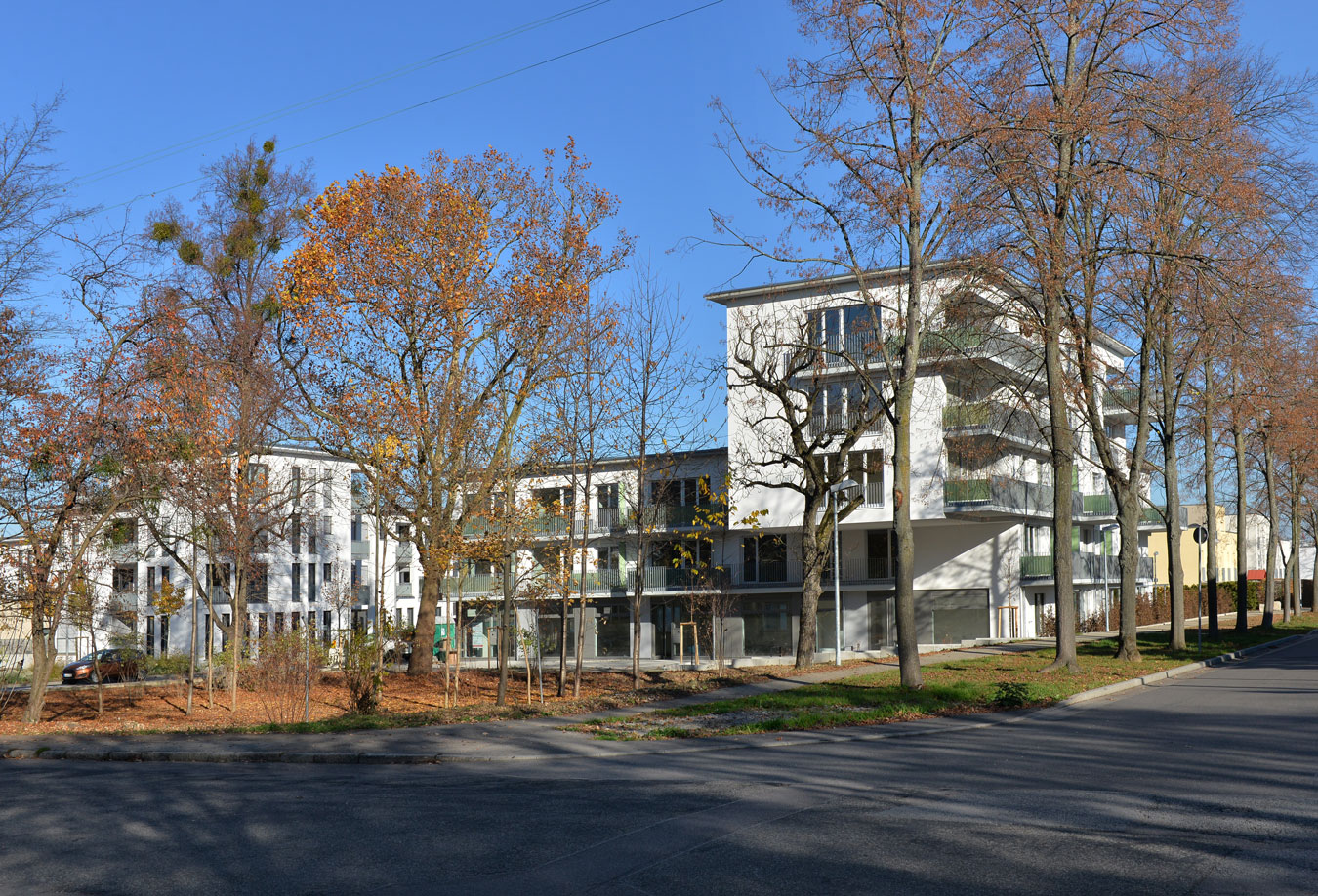 Auf der Hartenecker Höhe – Bild 1