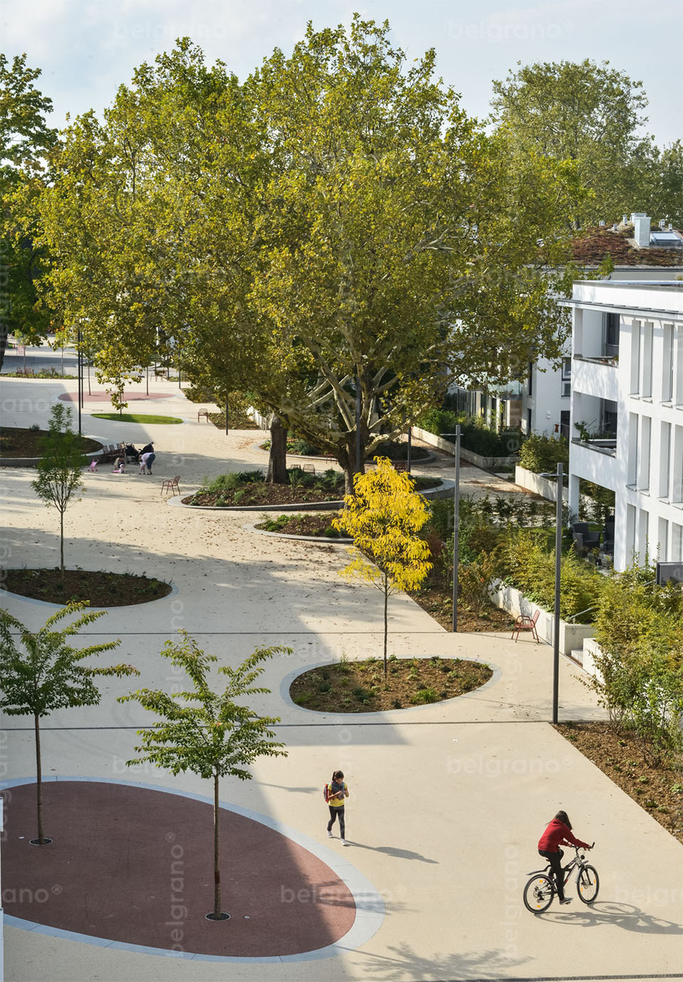 Auf der Hartenecker Höhe – Bild 5