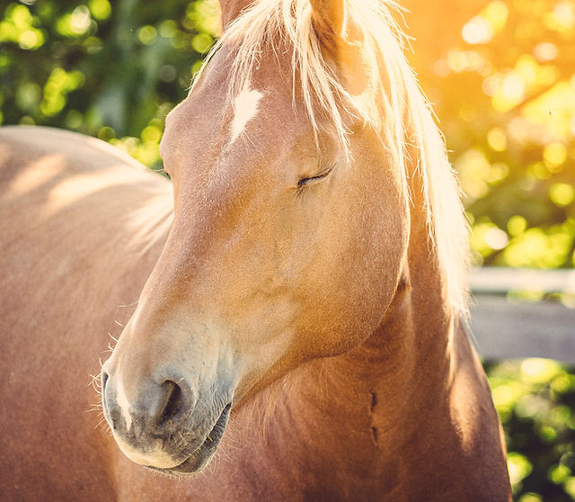 Hof Haferfeld – Bild 1