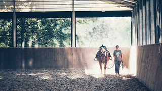 Hof Haferfeld – Bild 5