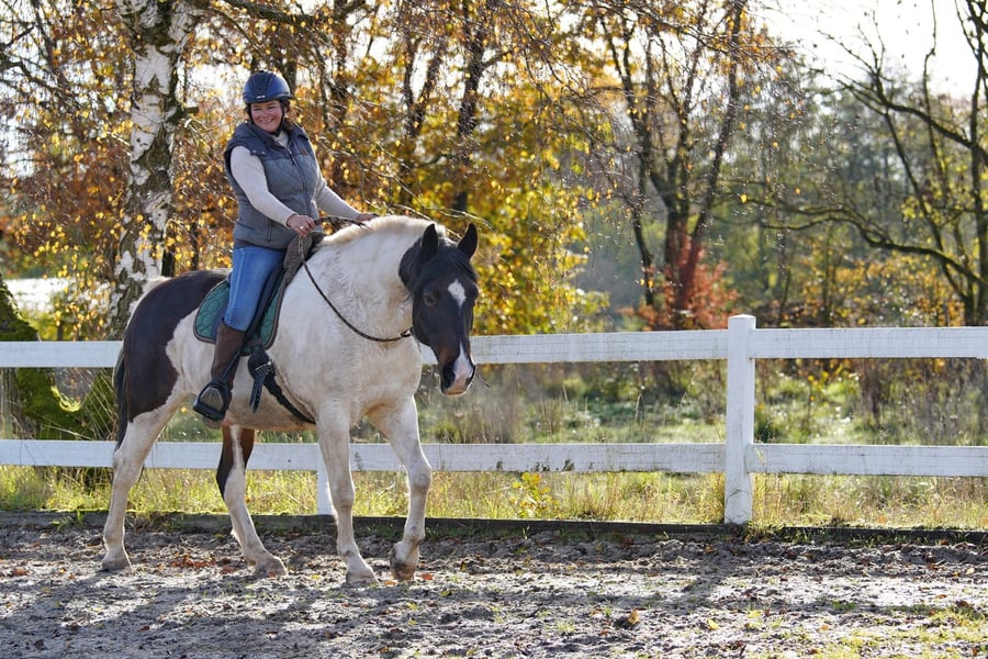 Hof Haferfeld – Bild 6