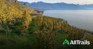 Parc du Bochat – Bild 6