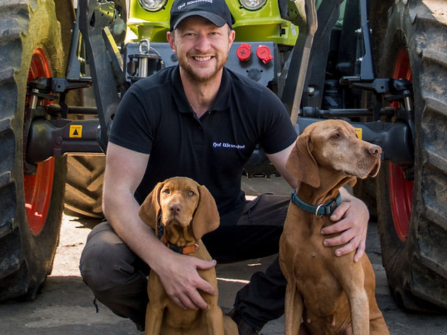 Kaffeebar Hof Weserrind – Bild 4