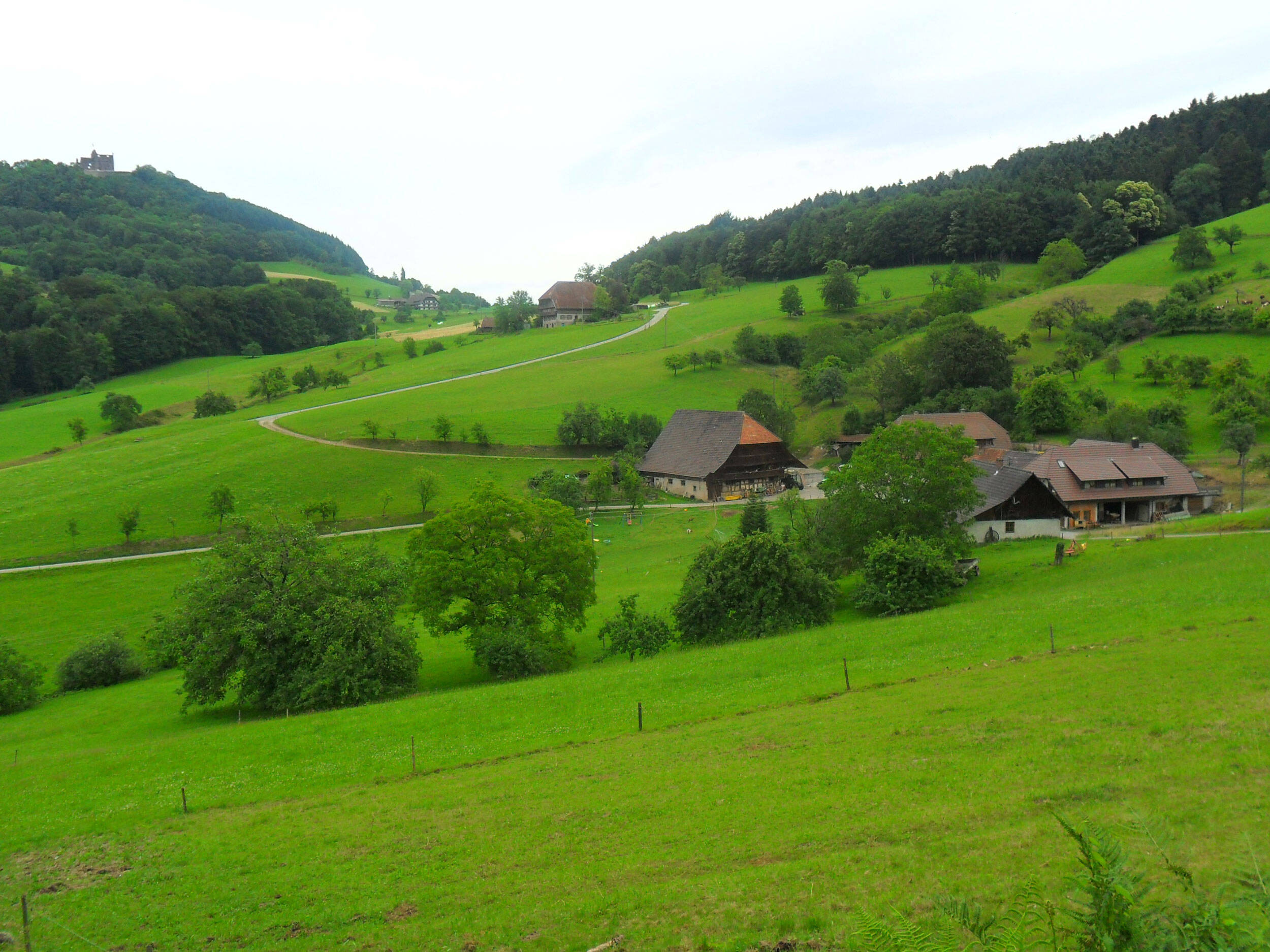 Erlebnisbauernhof Kopf – Bild 1