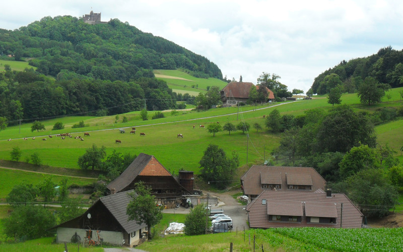 Erlebnisbauernhof Kopf – Bild 2