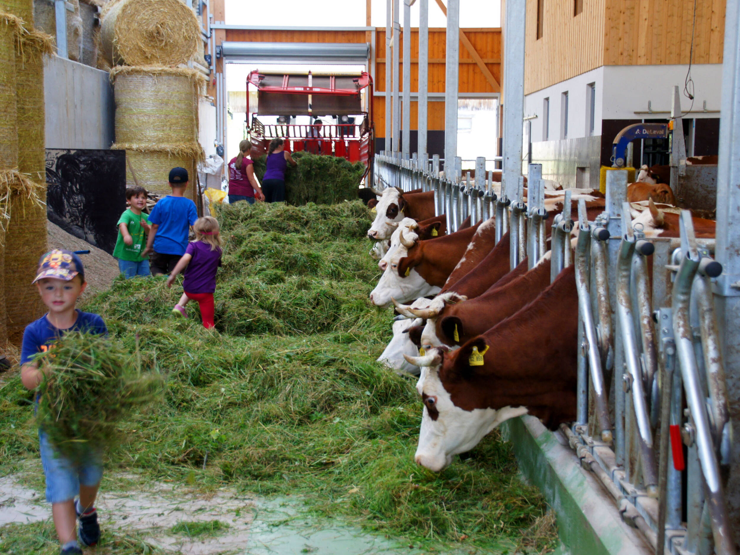 Erlebnisbauernhof Kopf – Bild 3
