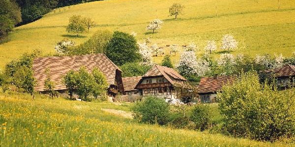 Erlebnisbauernhof Kopf – Bild 5