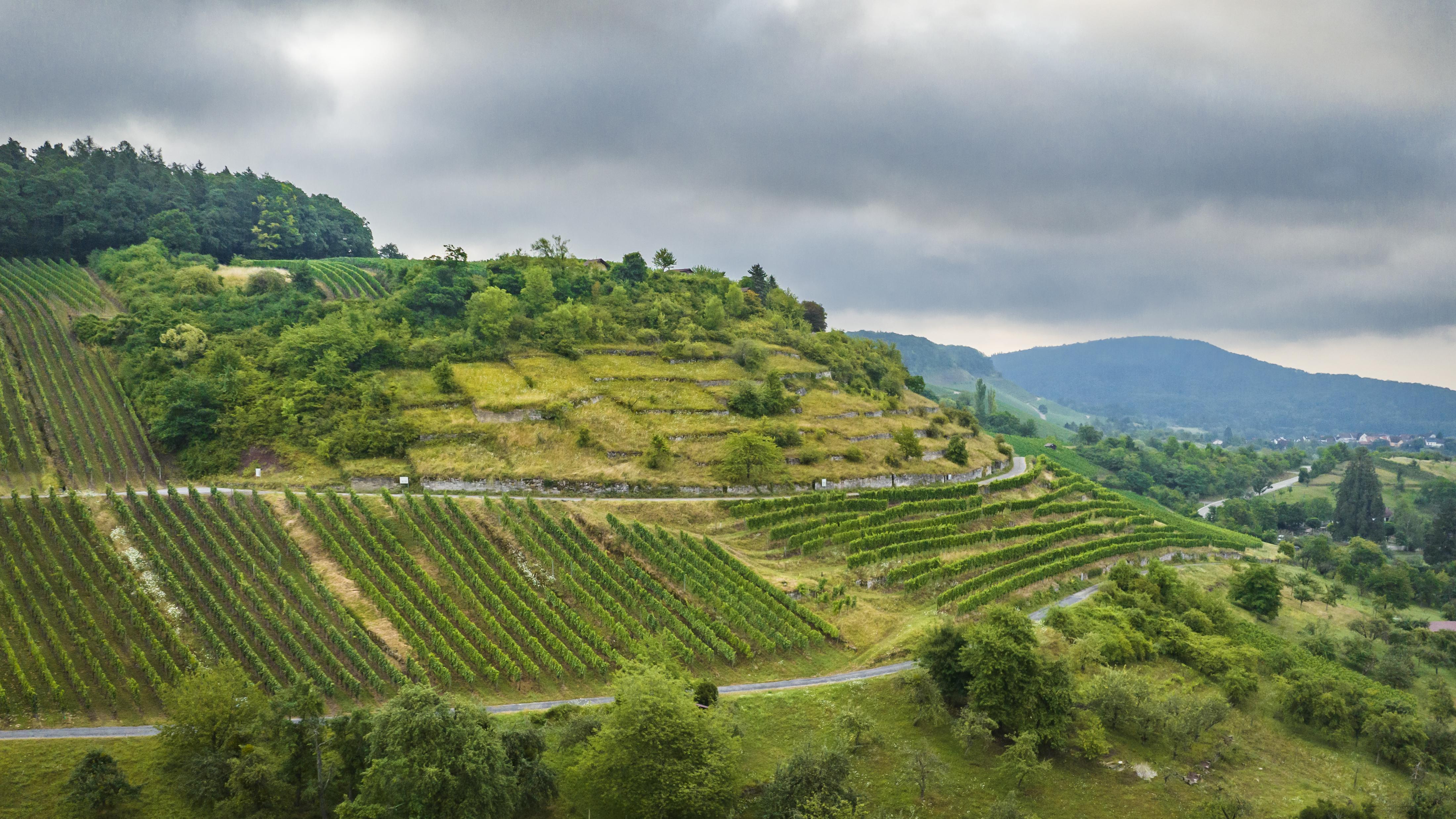 Naturparkzentrum Stromberg-Heuchelberg – Bild 4