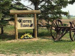 Cartier Farms Equine Assisted Learning – Bild 2