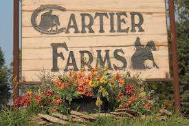 Cartier Farms Equine Assisted Learning – Bild 4