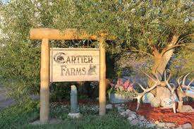 Cartier Farms Equine Assisted Learning – Bild 6