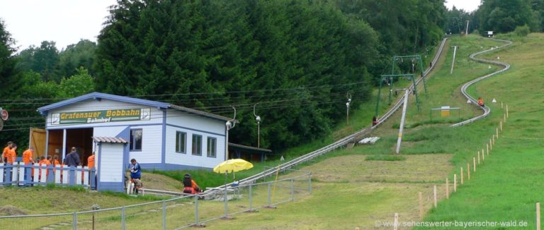 Sommerrodelbahn Bärenbob Grafenau – Bild 2