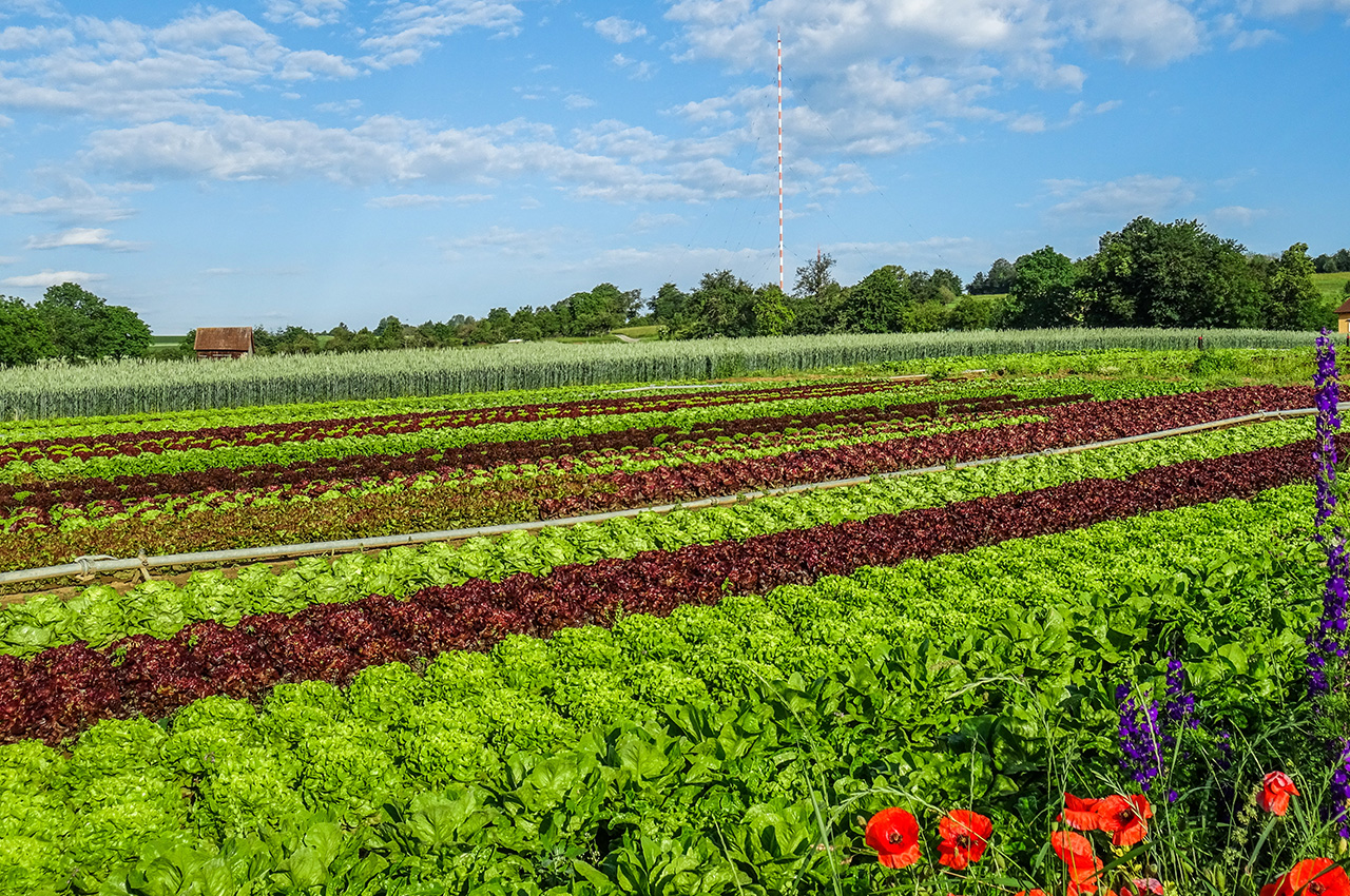 Bauernhof Stahl – Bild 3
