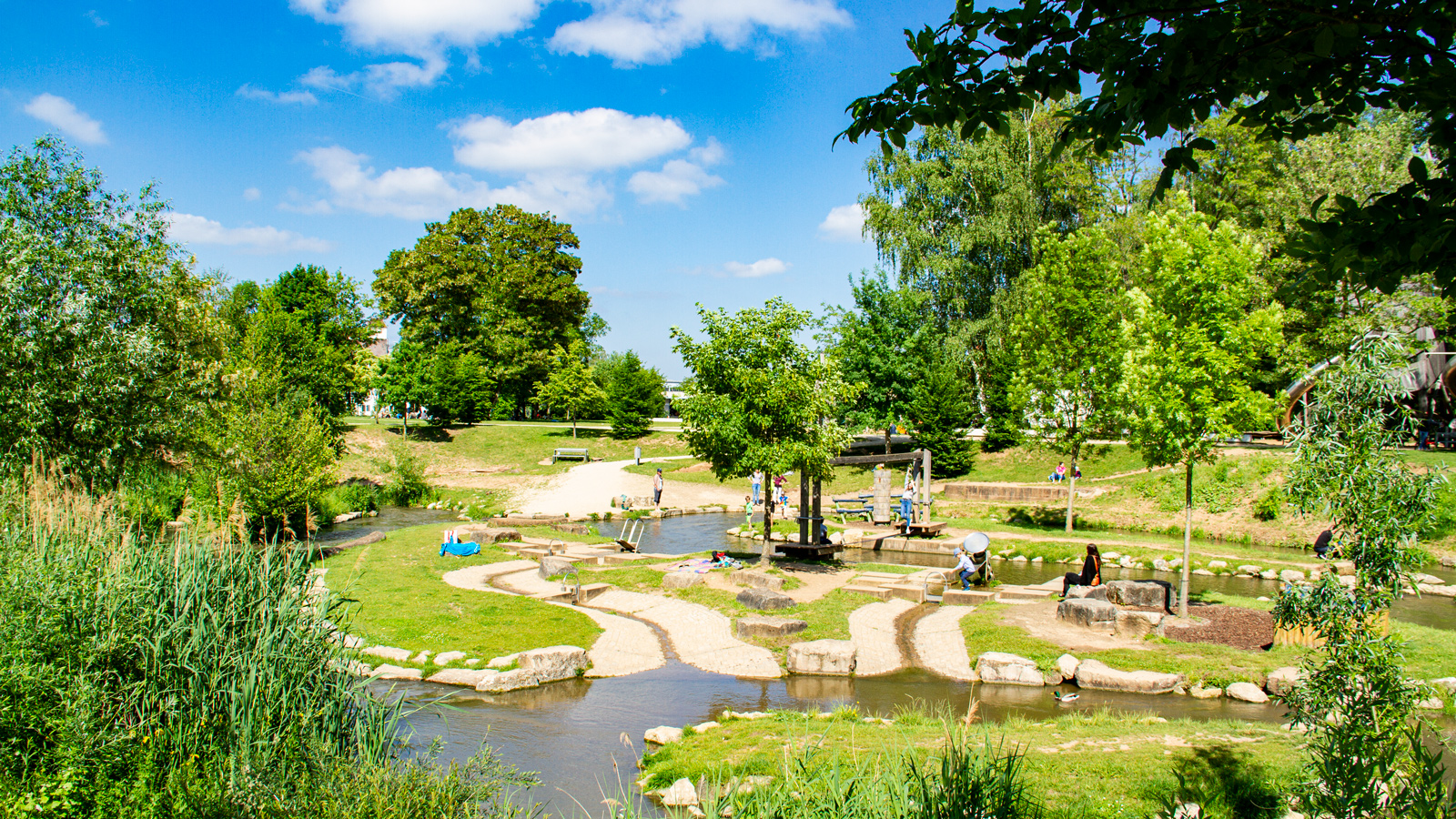 Erbainsel – Bild 2