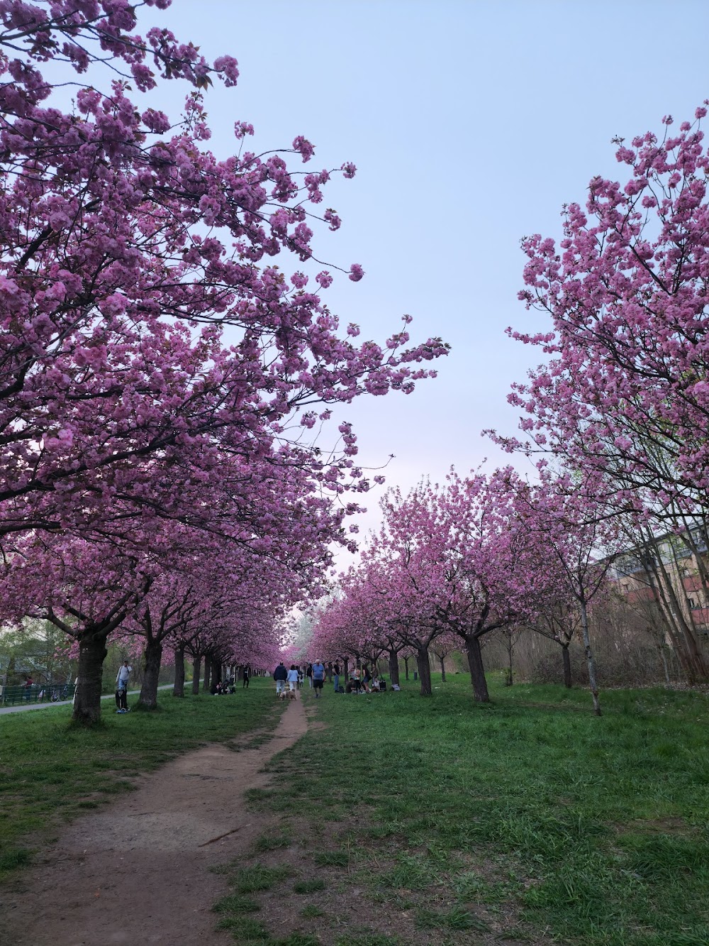 Motorikpark – Bild 1