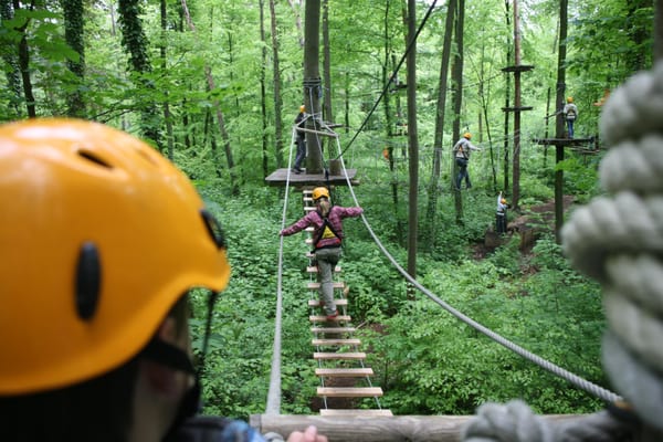 Schwindelfrei der Kletterwald – Bild 1