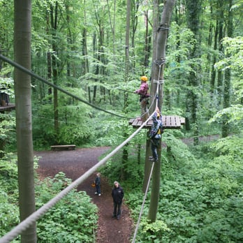 Schwindelfrei der Kletterwald – Bild 2