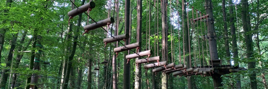 Schwindelfrei der Kletterwald – Bild 4