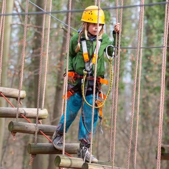 Schwindelfrei der Kletterwald – Bild 5