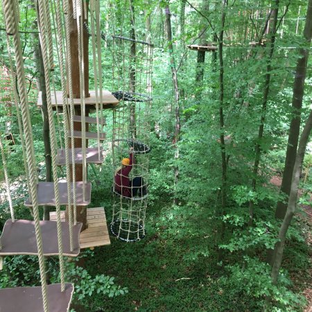 Schwindelfrei der Kletterwald – Bild 6