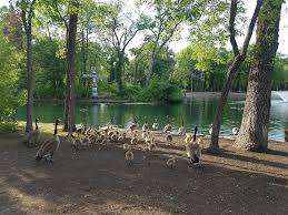 St. Vital Park – Bild 3