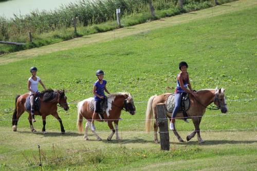 Ferienhof Kindt Anna Kindt – Bild 4