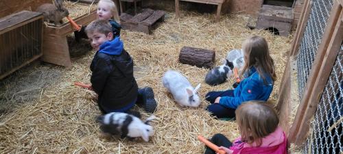 Ferienhof Kindt Anna Kindt – Bild 6