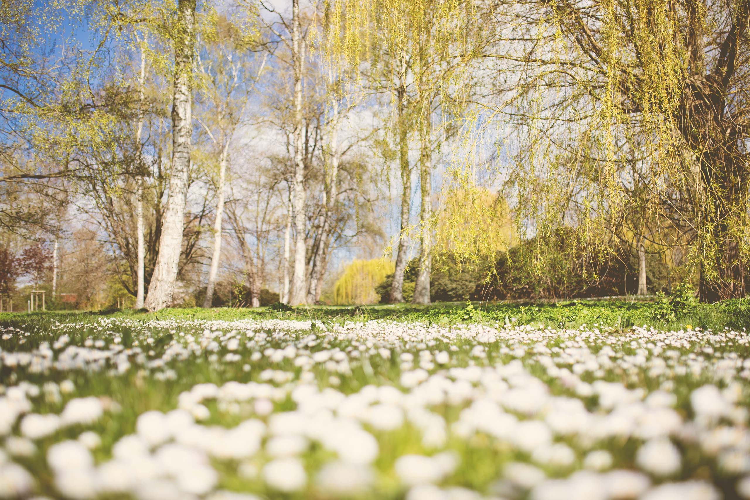 Aktivpark Eutin – Bild 5