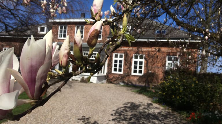 Ostseeferien Evershof – Bild 1