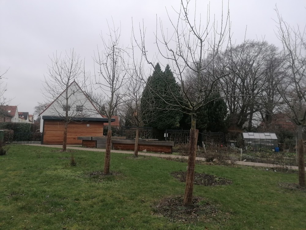 Theodor Heuss Park – Bild 4