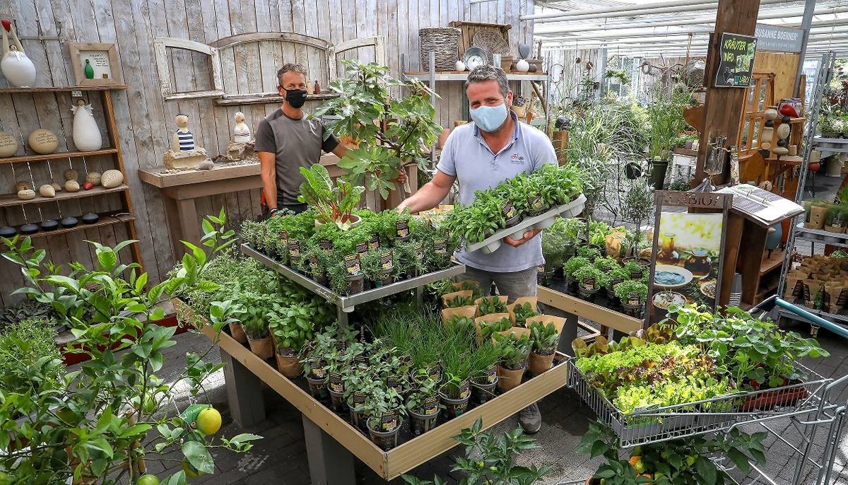 Werner Knuf Landwirt – Bild 3