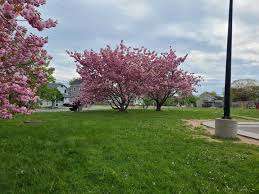 Dartmouth Common Playground – Bild 3