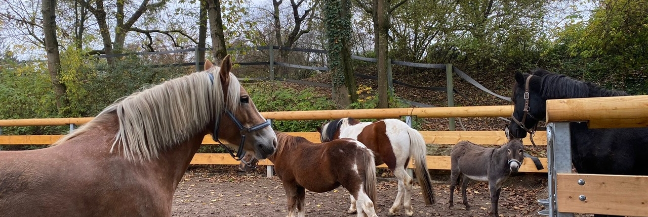 Jugendfarm Ludwigsburg e.V. – Bild 2