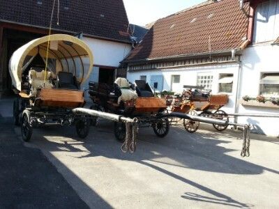 Claudia Christoph Pferdebetrieb FN - Fahrschule FN** – Bild 2