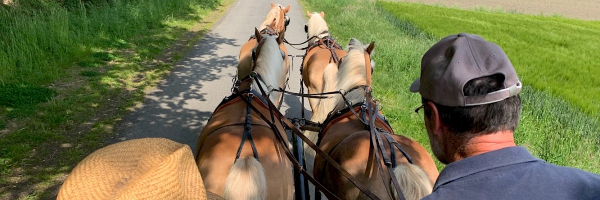 Claudia Christoph Pferdebetrieb FN - Fahrschule FN** – Bild 4