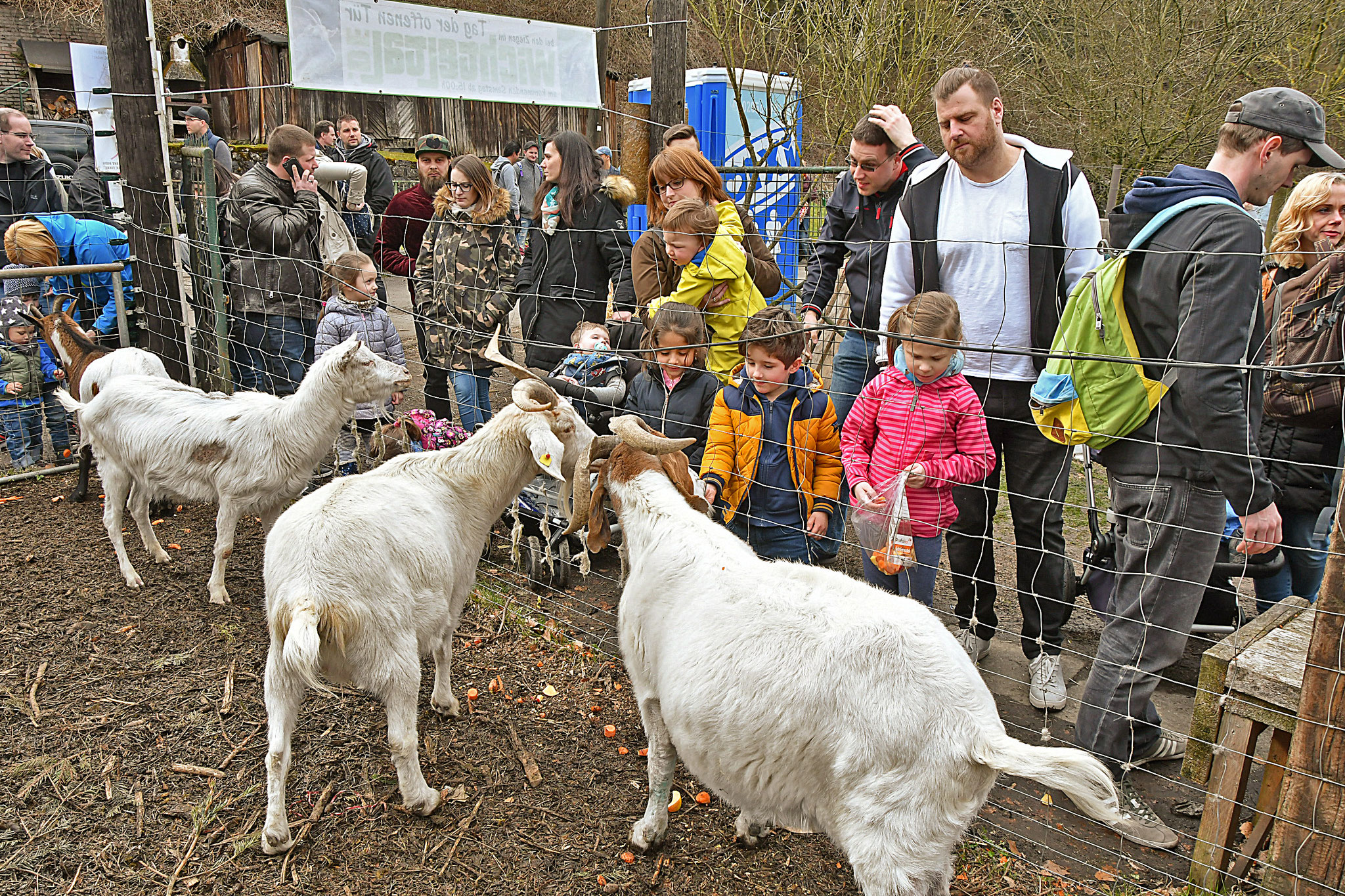Tiergehege Wichteltal – Bild 4