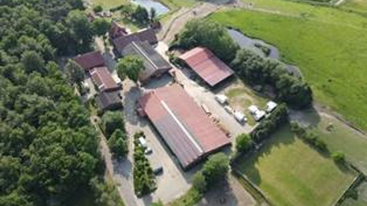 Familienhof Brüning – Bild 5