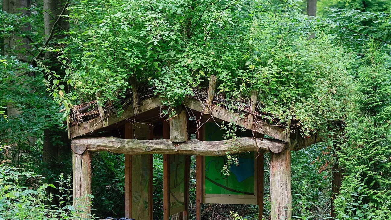 Wildwald Vosswinkel – Bild 3