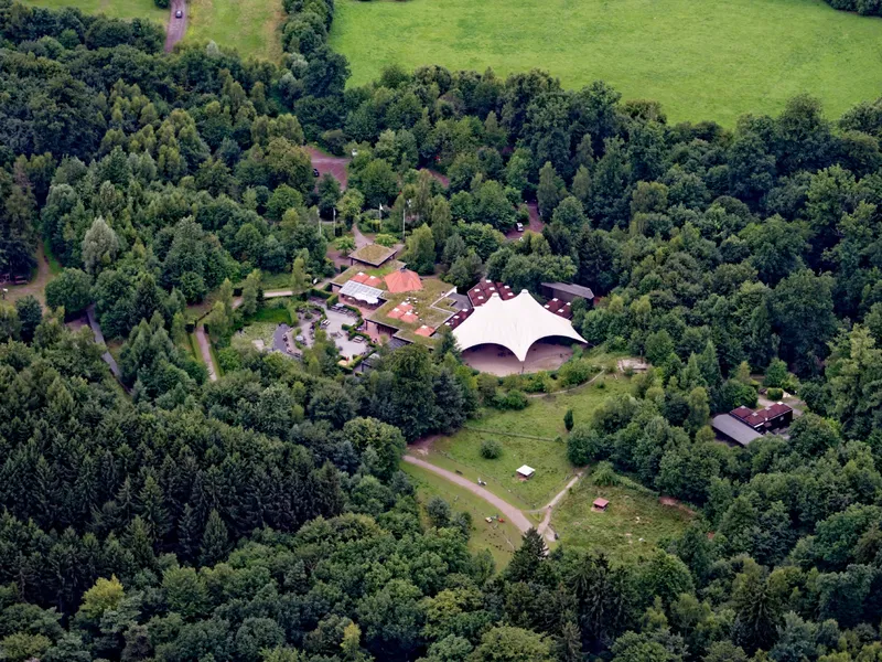 Wildwald Vosswinkel – Bild 4