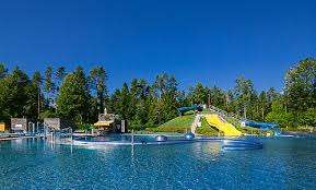 Erlebnis Waldbad Feldkirch – Bild 2